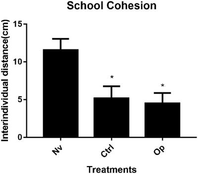 Early Mistreatment Contributes to Social Behavior Disorders in Zebrafish